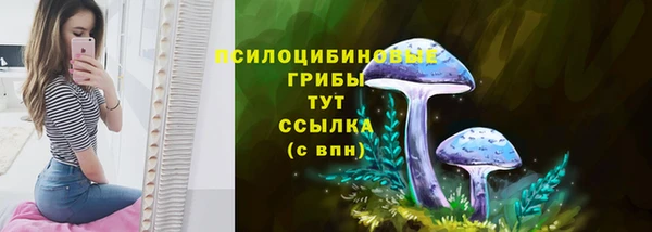 соль курить ск Медвежьегорск