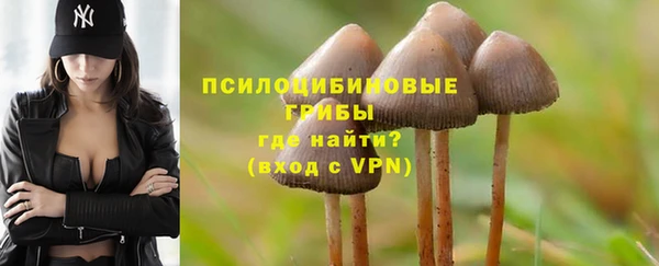 соль курить ск Медвежьегорск