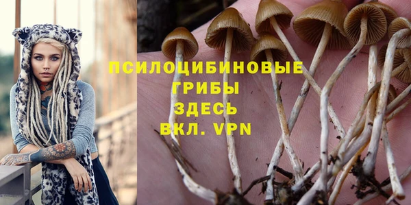 соль курить ск Медвежьегорск