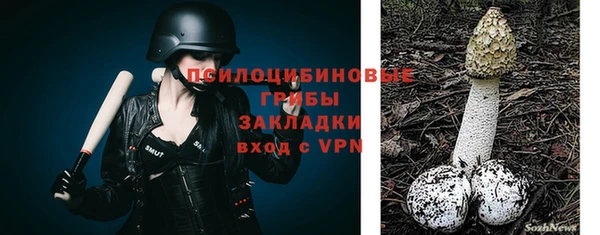 соль курить ск Медвежьегорск